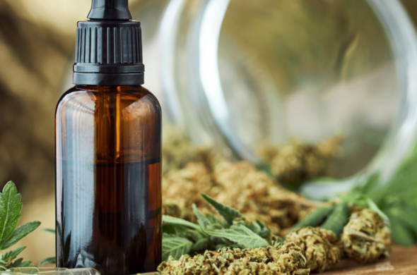 Confused about the difference between CBD oil and hemp oil? Wonder which one is better for you? We've got you covered.