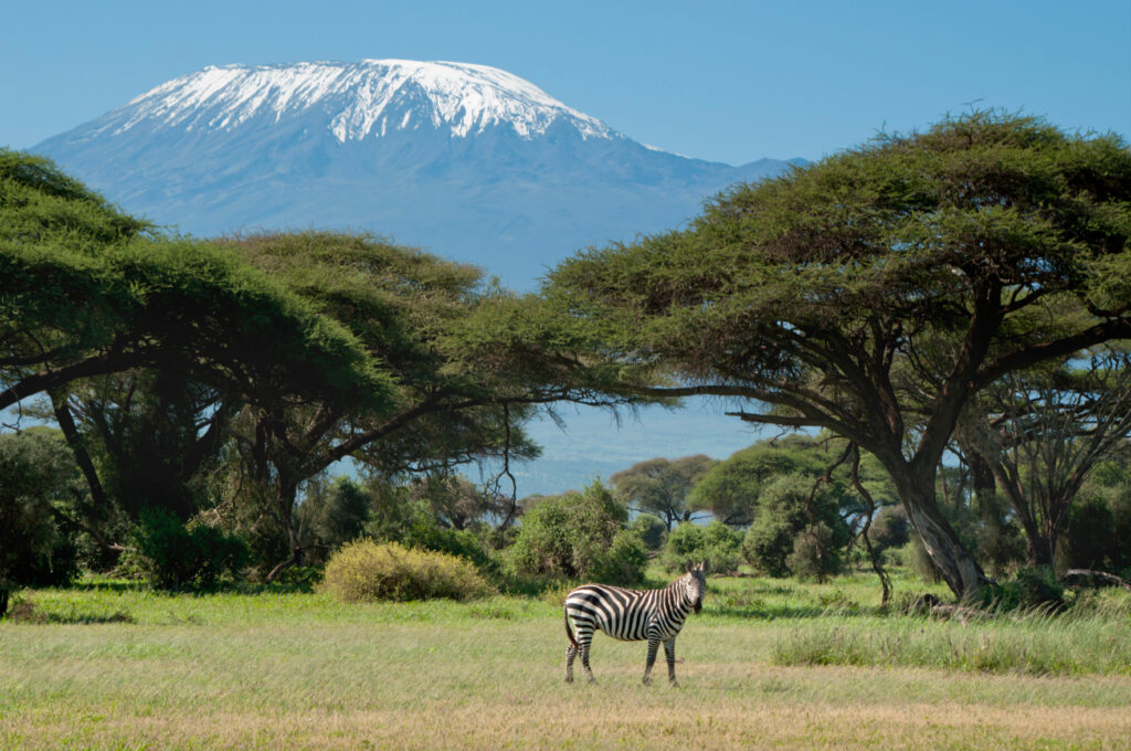 Leadership Lessons from Mount Kilimanjaro